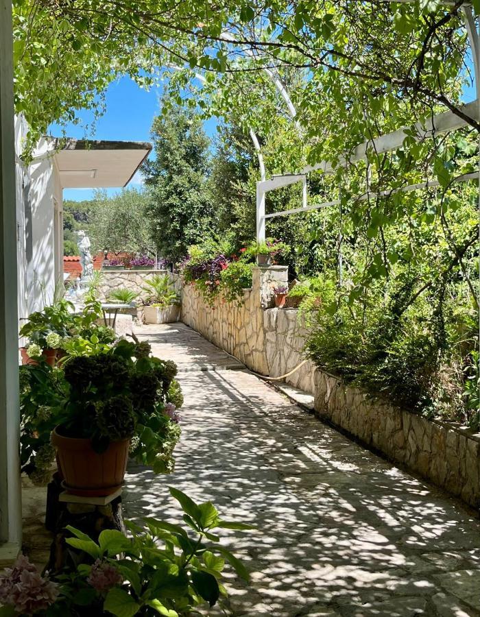 Gorana Apartman With Swimming Pool Apartment Jelsa  Exterior photo