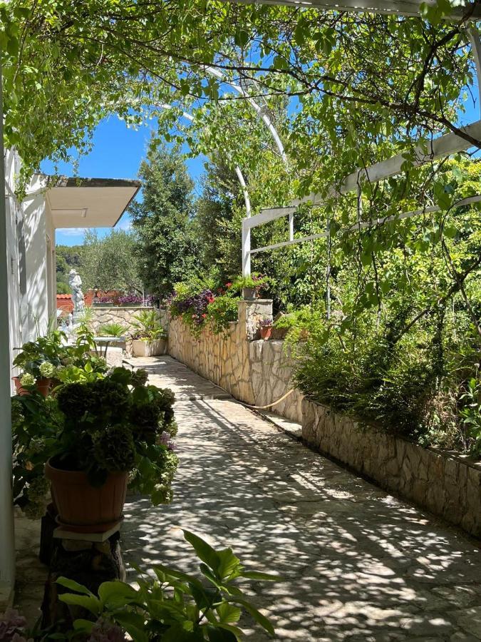 Gorana Apartman With Swimming Pool Apartment Jelsa  Exterior photo